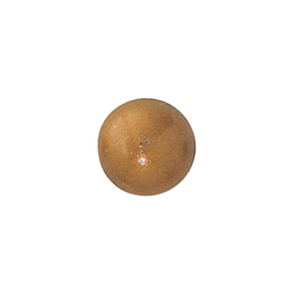 Small Brass Nail